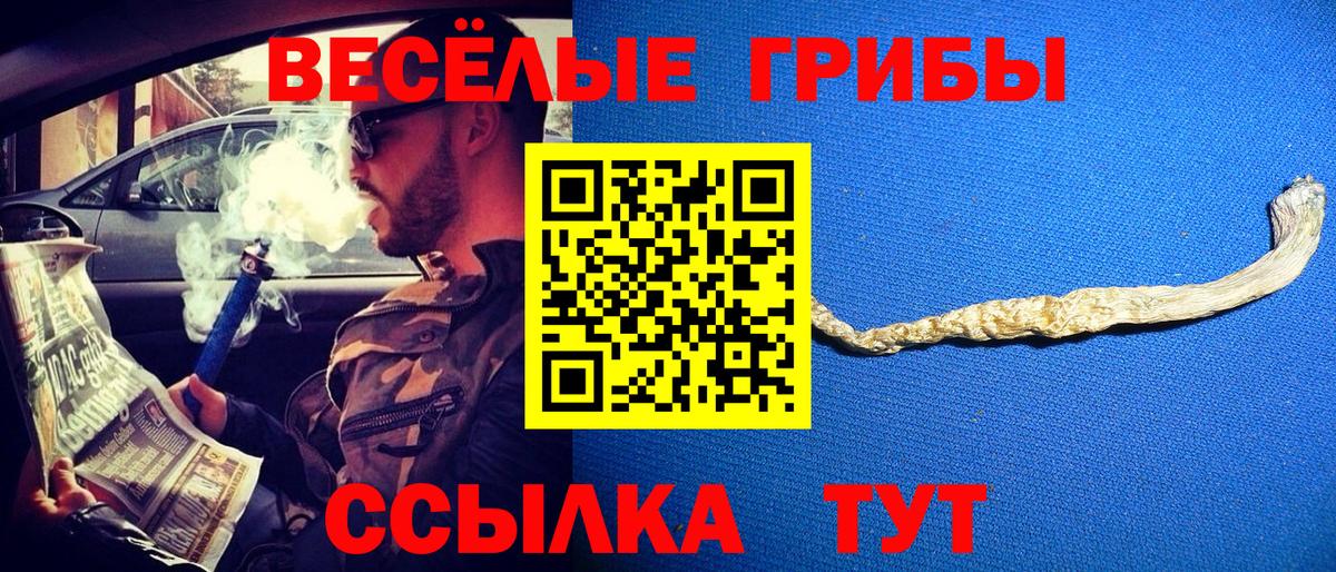 Псилоцибиновые грибы GOLDEN TEACHER  Вход с VPN  Первоуральск  Галлюциногенные грибы GOLDEN TEACHER 